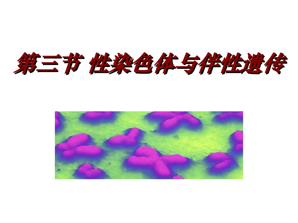 生物：2.3《性染色体与伴性遗传》课件(浙科版必修2)_第1页