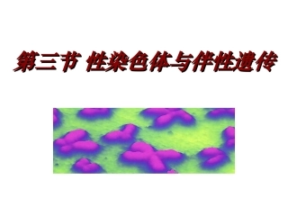 生物：2.3《性染色体与伴性遗传》课件(浙科版必修2)