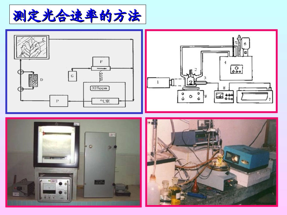 生物：5.4《能量之源——光与光合作用》课件(9)(新人教版必修1)_第2页
