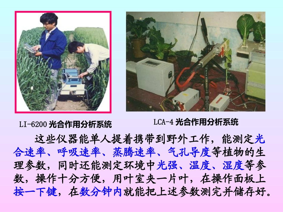 生物：5.4《能量之源——光与光合作用》课件(9)(新人教版必修1)_第3页