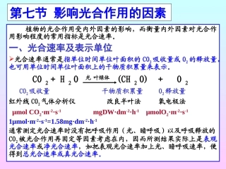 生物：5.4《能量之源——光与光合作用》课件(9)(新人教版必修1)