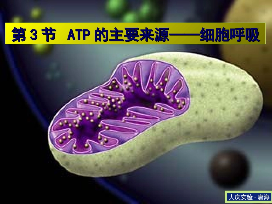生物：5.3《ATP的主要来源—细胞呼吸》课件(新人教版必修1)_第1页