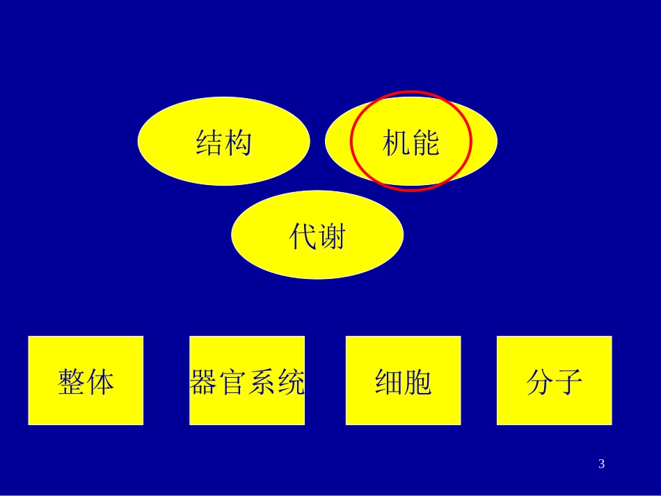 生理-祝世功_第3页