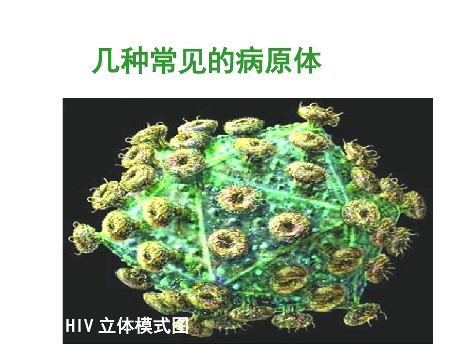 生物：8.1.1传染病及其预防3 课件(人教新课标八年级下)_第3页