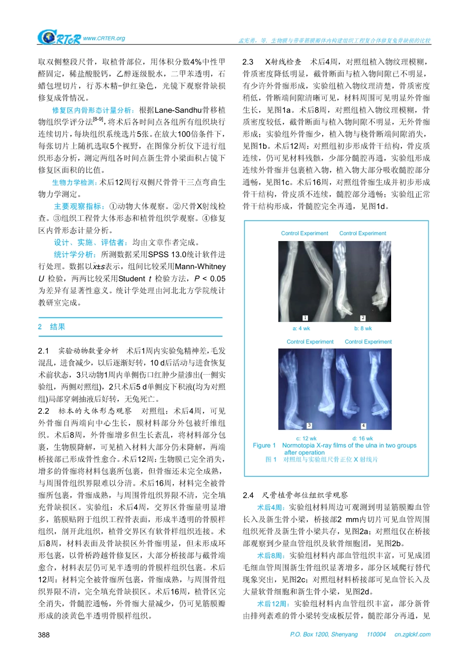生物膜与带蒂筋膜瓣体内构建组织工程复合体修复兔骨缺损的比较_第3页