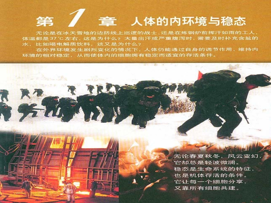 生物细胞生活的环境课件人教版必修3_第1页