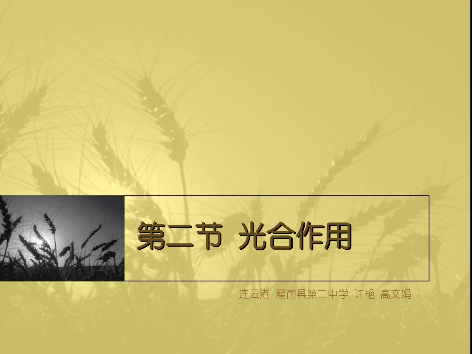 生物课件 光合作用_第1页