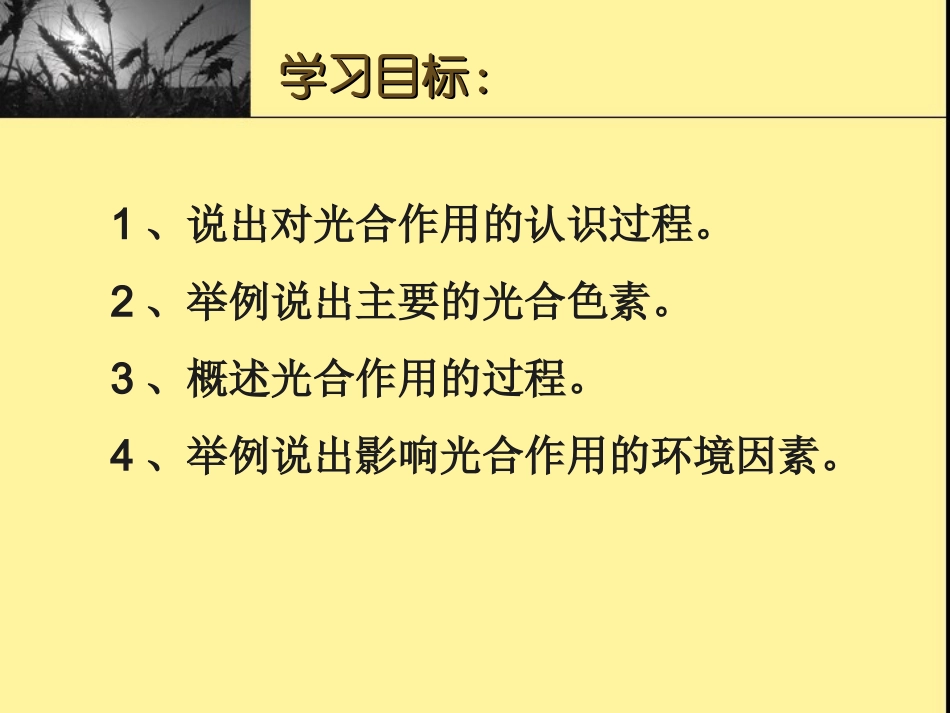 生物课件 光合作用_第2页