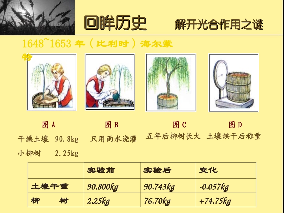 生物课件 光合作用_第3页