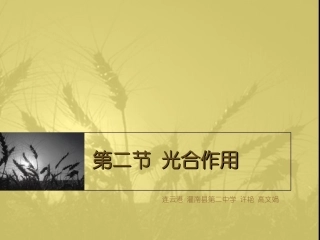 生物课件 光合作用