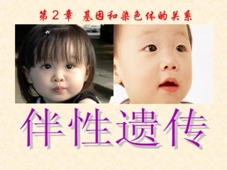 生物必修三第二章第三节