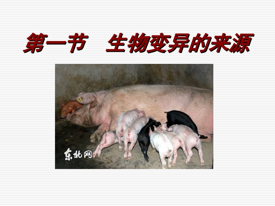 生物变异的来源PPT课件_第1页