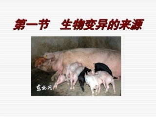 生物变异的来源PPT课件