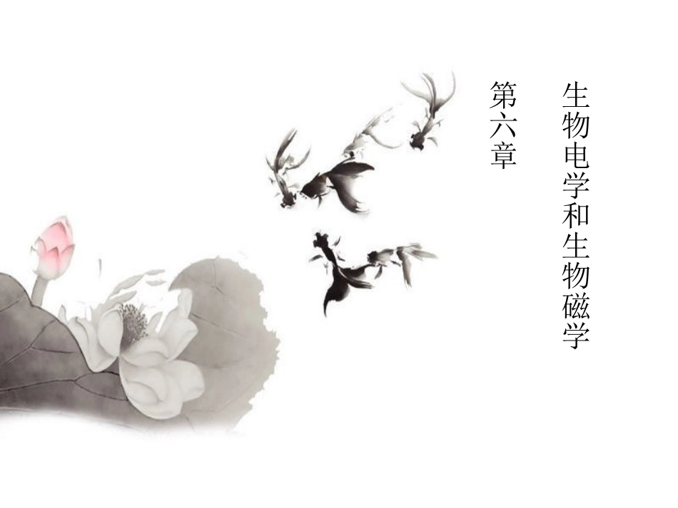 生物电学和生物磁学_第1页