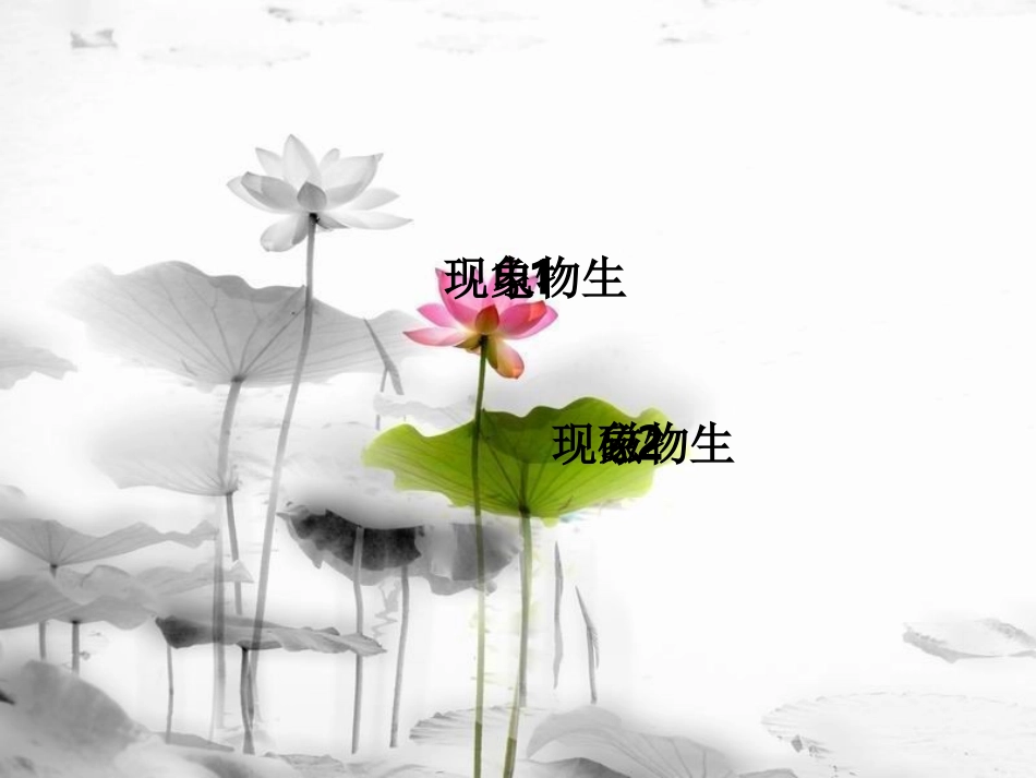 生物电学和生物磁学_第2页