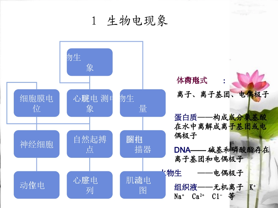 生物电学和生物磁学_第3页