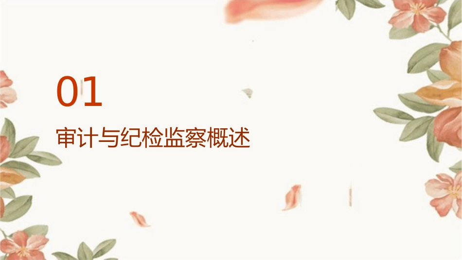 审计与纪检监察的协调配合课件_第3页