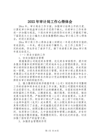 20XX年审计局工作心得体会