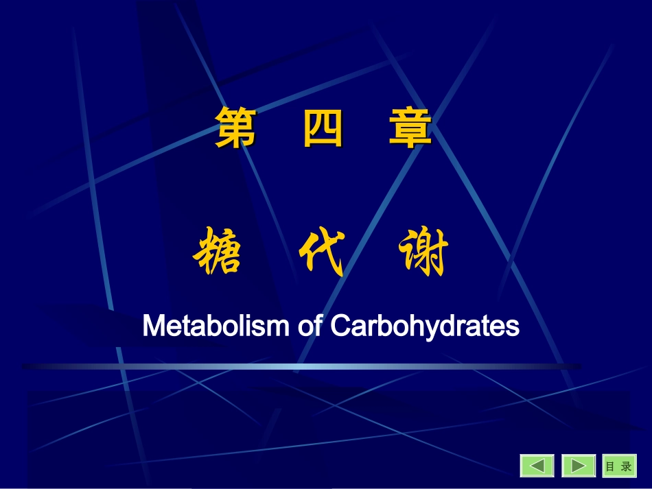 生物化学第04章糖代谢_第1页