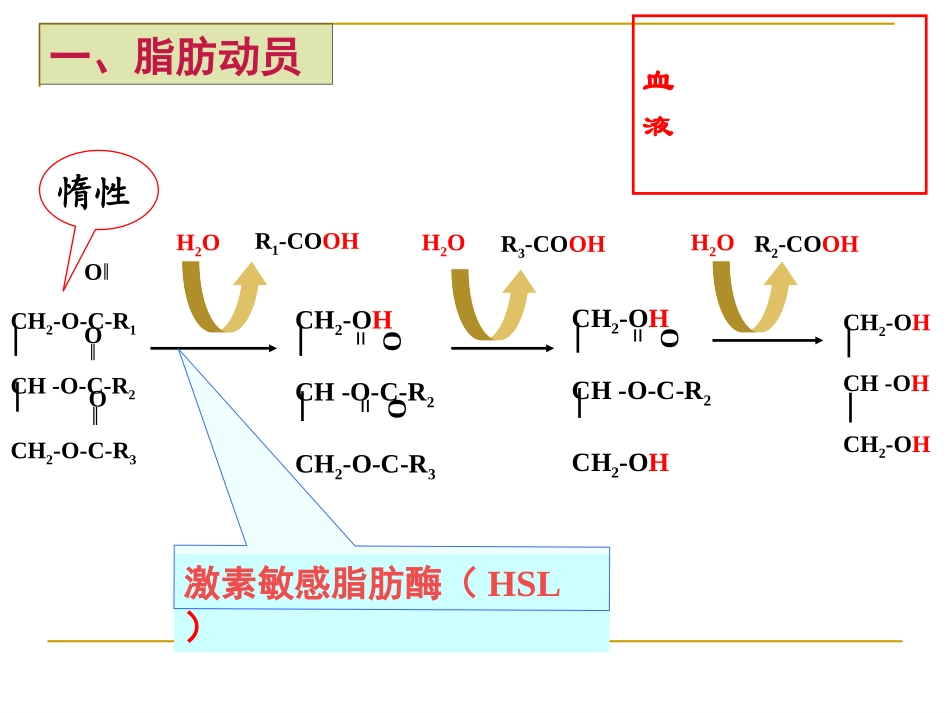 生物化学复习_第2页