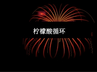 生物化学 柠檬酸循环