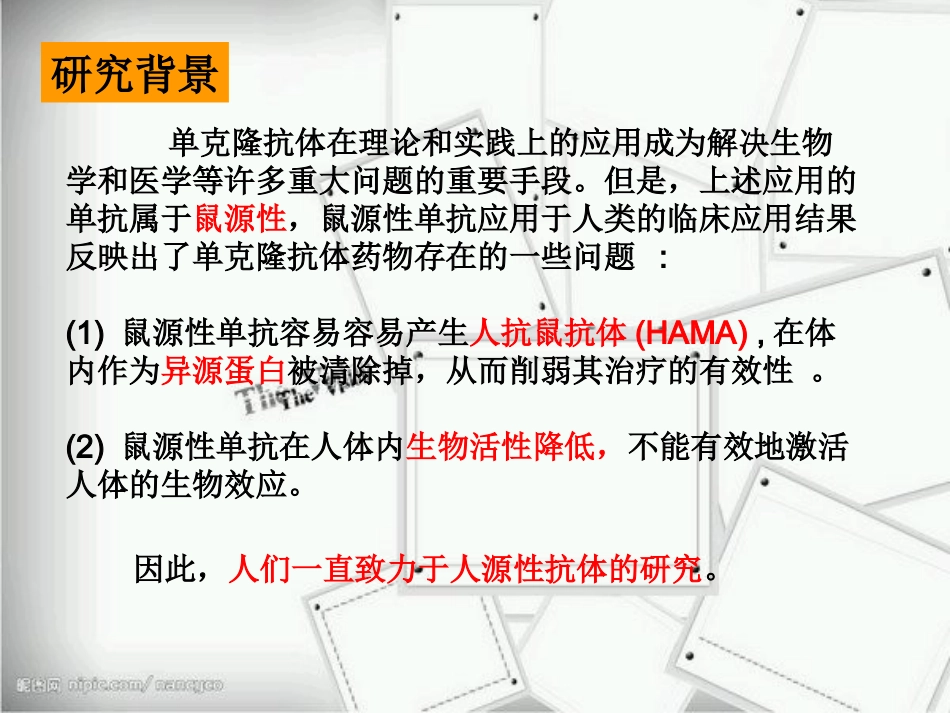 生物制药--人源化单克隆抗体_第2页