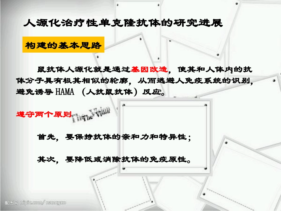 生物制药--人源化单克隆抗体_第3页