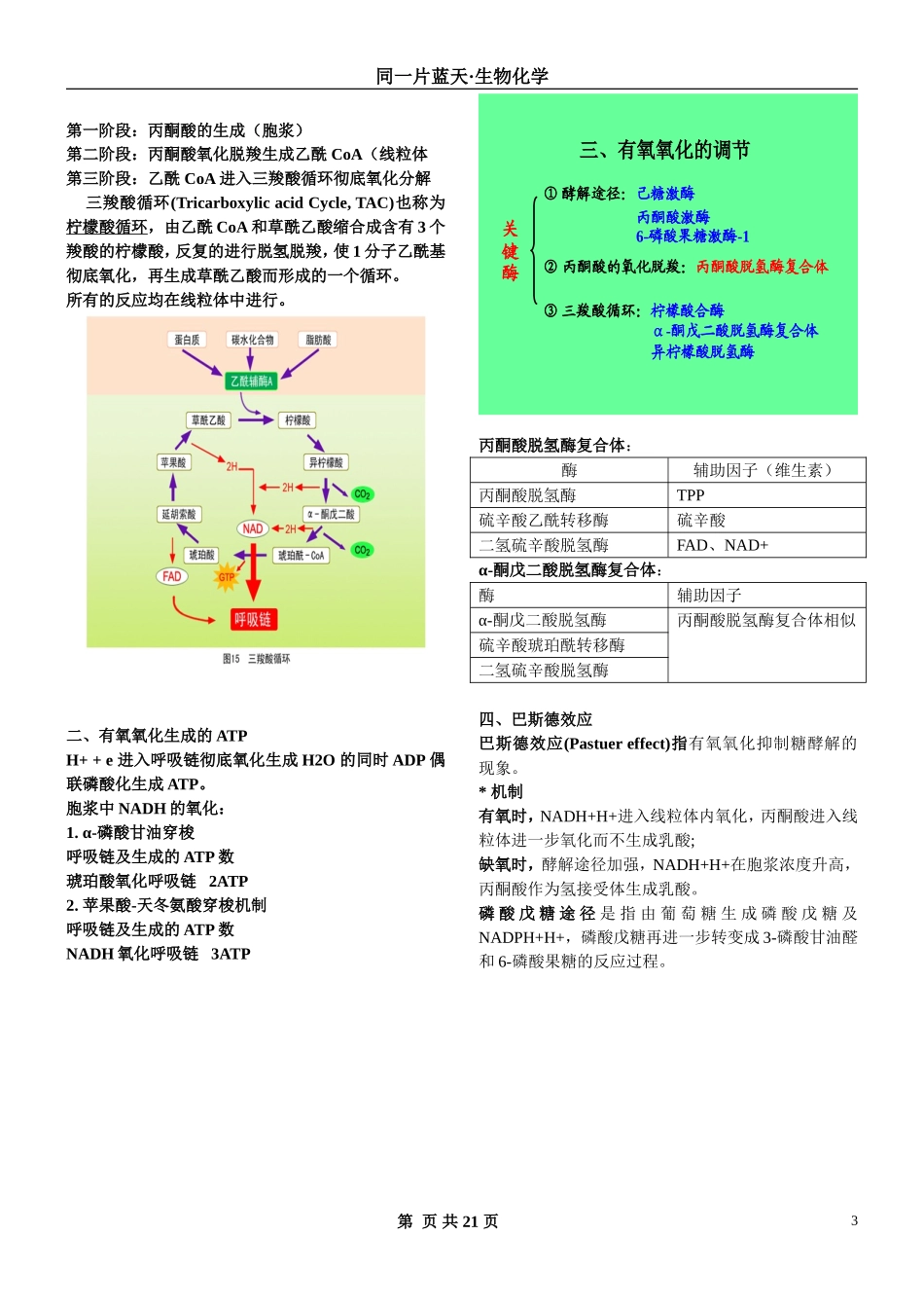 生物与化学·三大营养物质代谢_第3页