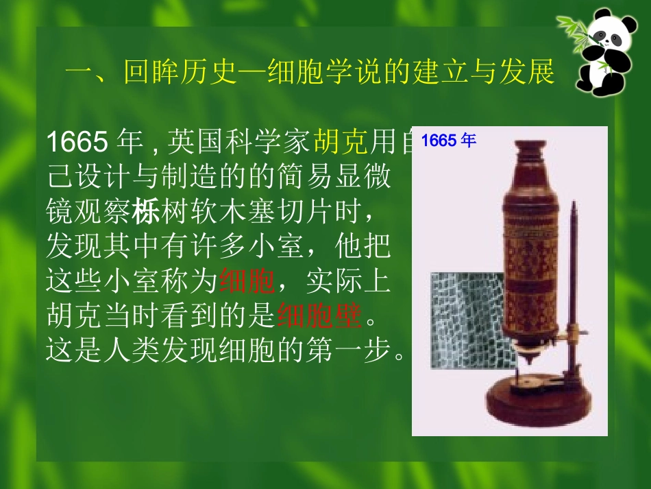 生命活动的基本单位——细胞_第3页