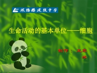 生命活动的基本单位——细胞