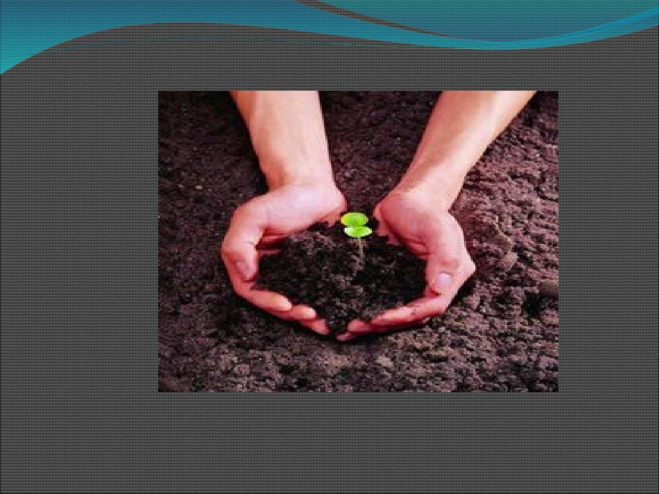 生命生命(完美版)_第3页