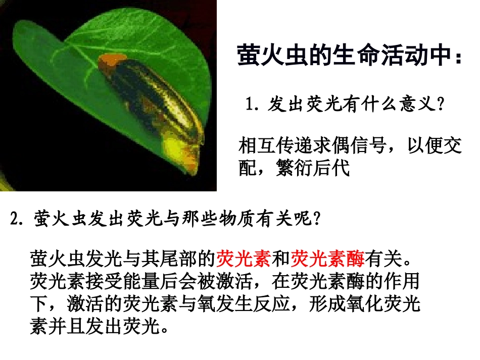 生命活动的直接能源-ATP_第3页