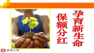 生命人寿-保额分红