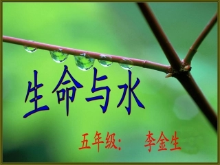 生命与水PPT.