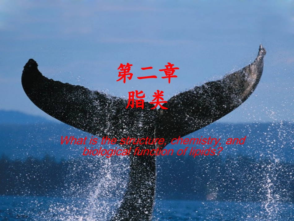 生化chapter 02 lipids_第1页