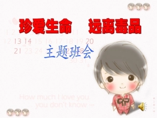 珍爱生命远离毒品.ppt