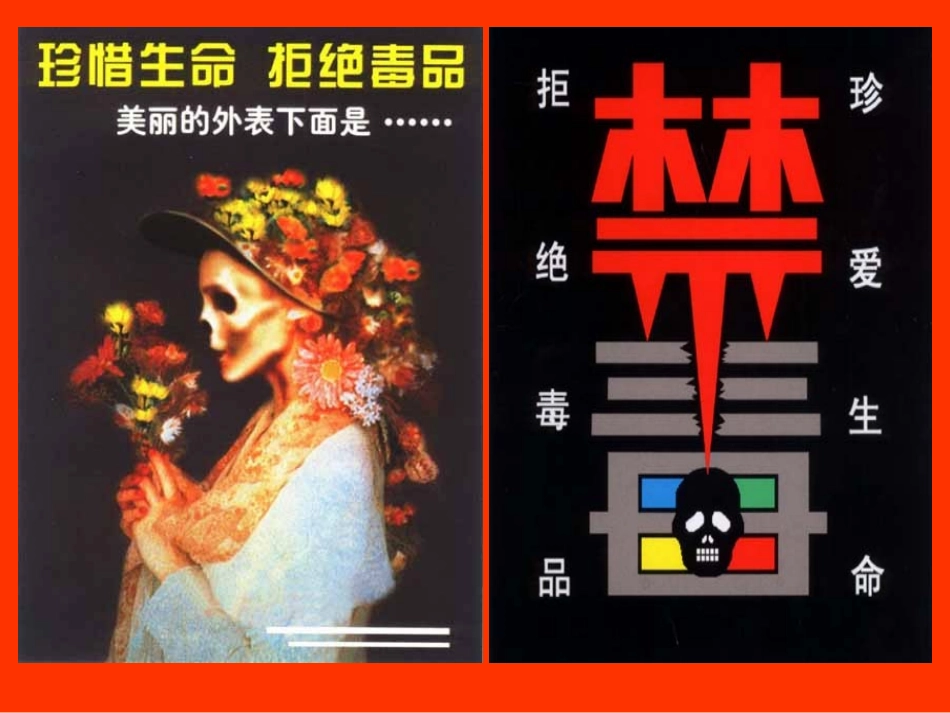 珍爱生命远离毒品901ppt_第2页