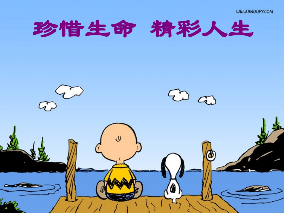 珍爱生命精彩人生_第1页