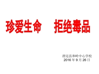 珍爱生命、拒绝毒品完整版2016