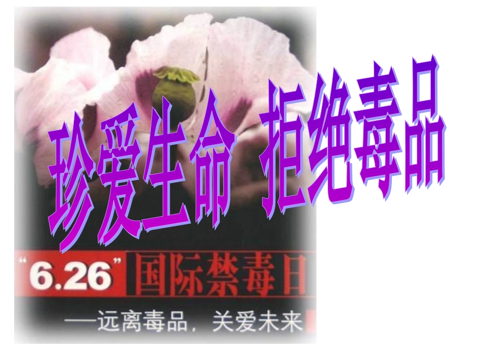 珍爱生命---拒绝毒品_第1页