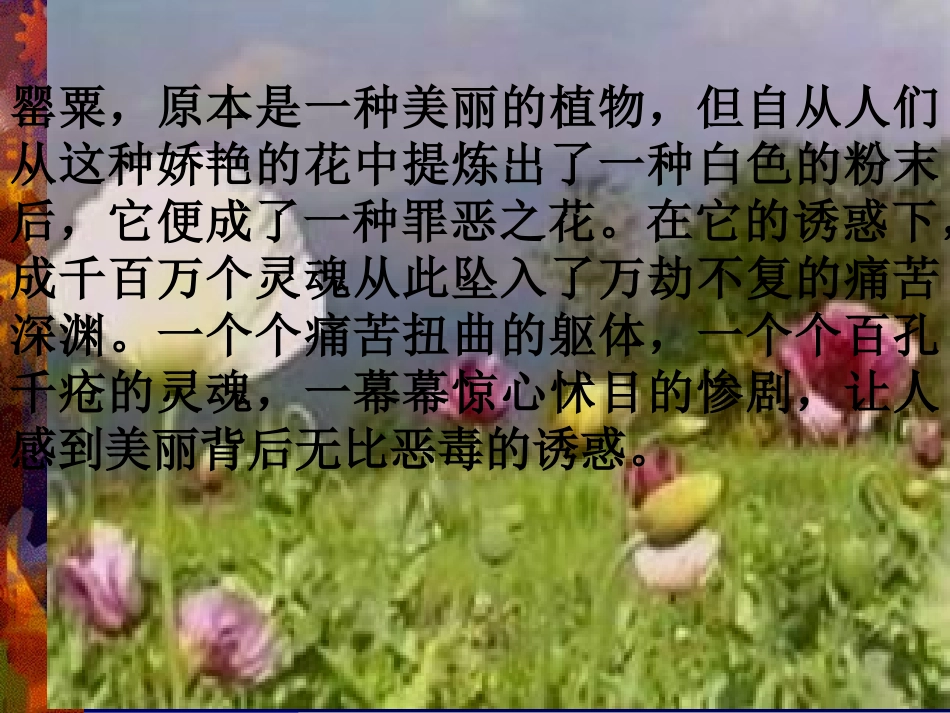 珍爱生命-拒绝毒品(PPT-61)_第3页