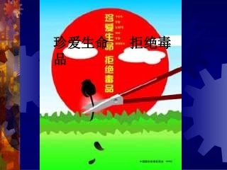 珍爱生命-拒绝毒品(PPT-61)