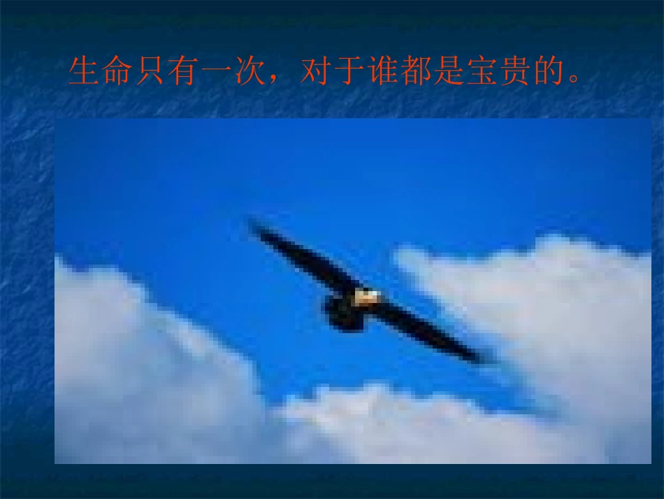 珍爱生命--远离毒品._第2页