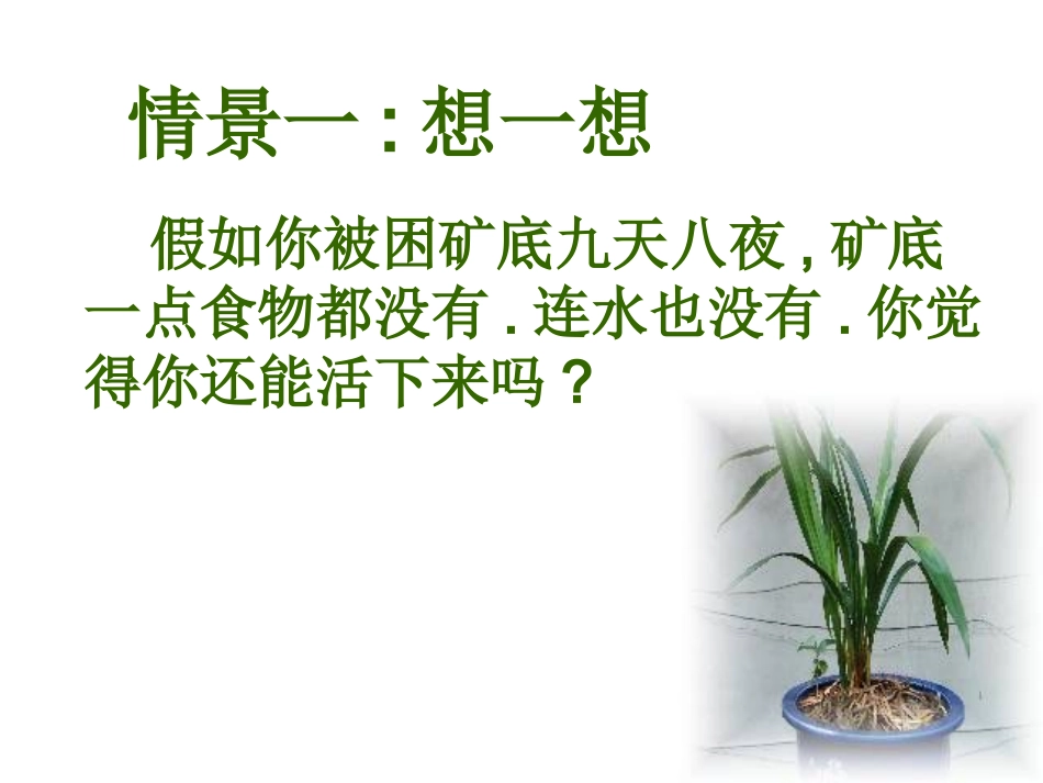 珍爱我们的生命PPT_第2页