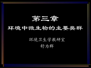 环境中微生物的主要类群