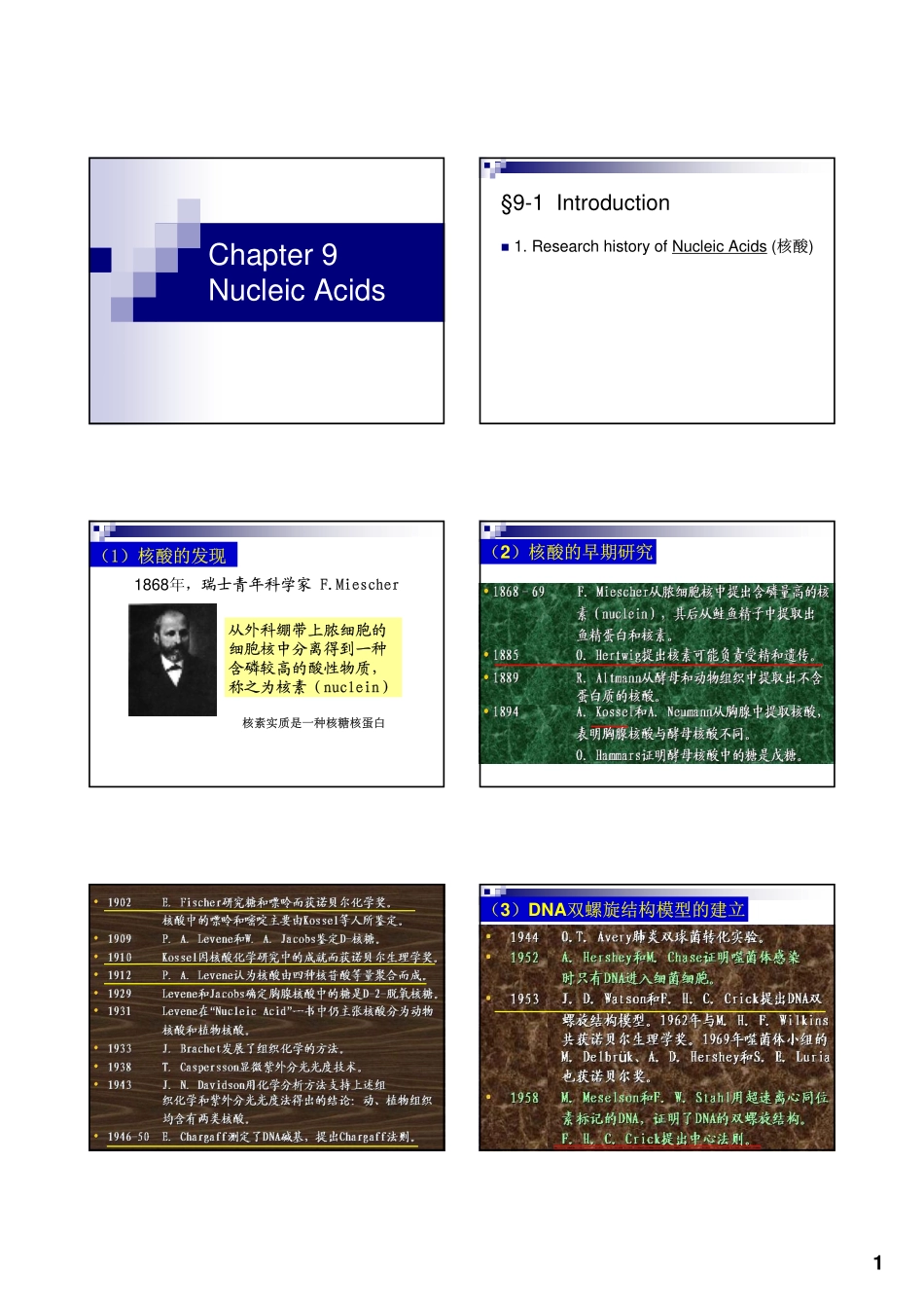 王镜岩生化Nucleic Acids_第1页
