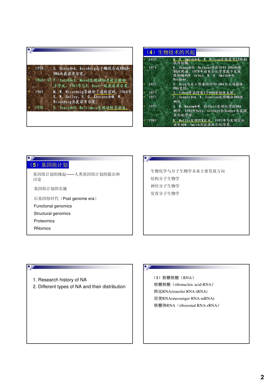 王镜岩生化Nucleic Acids_第2页