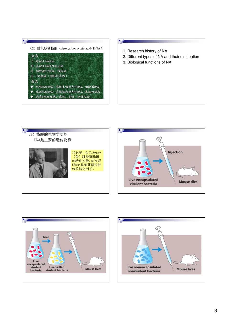 王镜岩生化Nucleic Acids_第3页