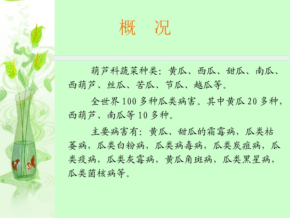 王琳葫芦科病害_第2页