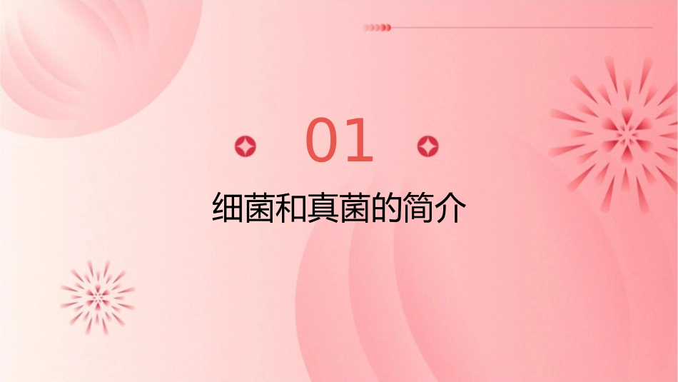 第六单元细菌和真菌的分布课件_第3页